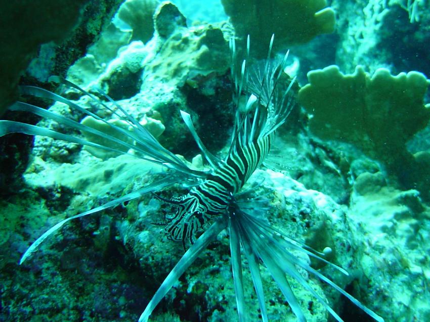 Safaga, Safaga - allgemein,Ägypten