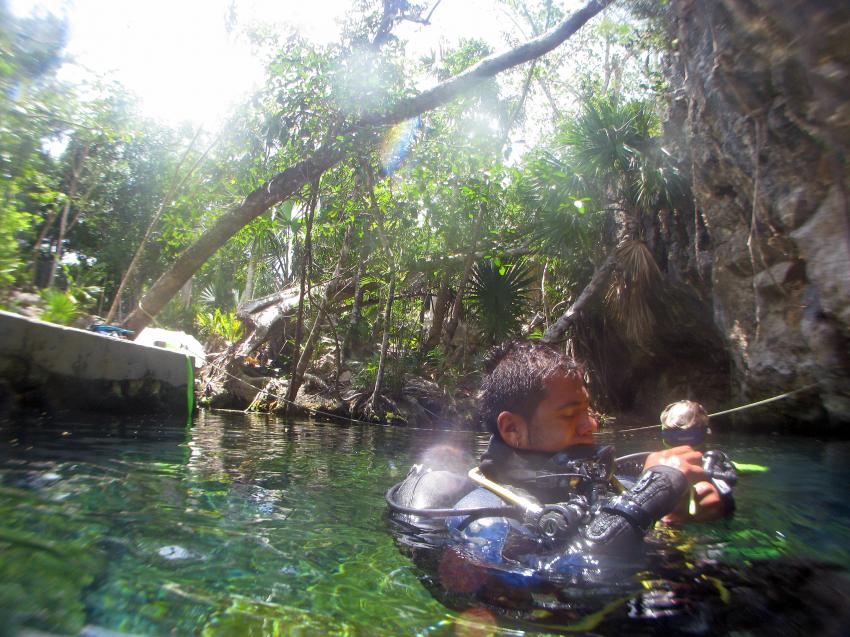 Cenotes, Cenoten gemischt (Cenoten Playa del Carmen,Tulum und Meer),Mexiko,Cenotes,einstieg,höhlentauchen,oberfläche