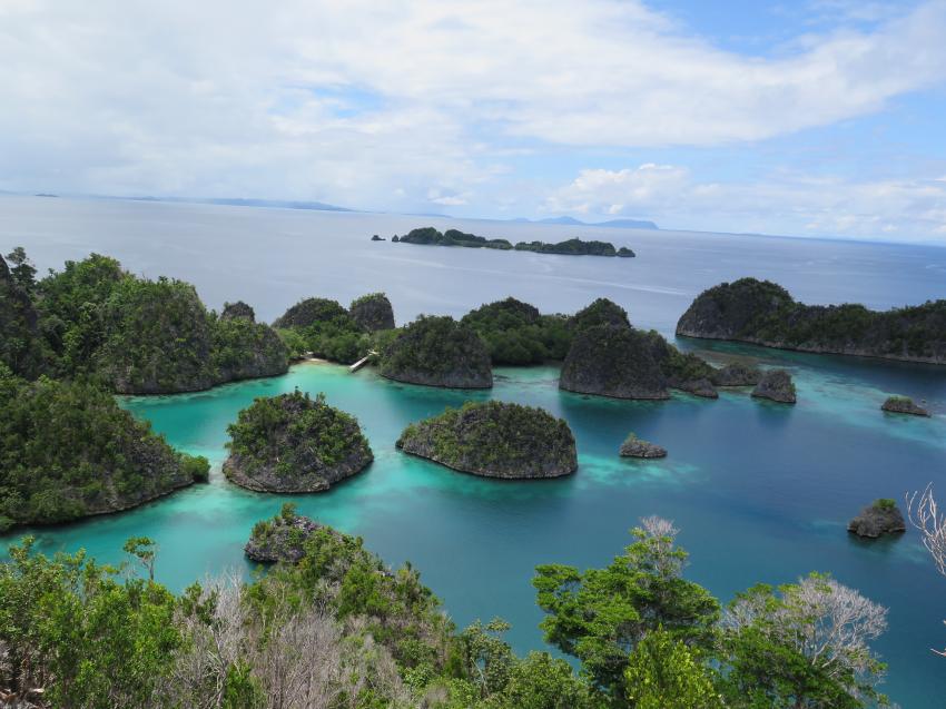 Raja Ampat Dive Resort, Indonesien, Allgemein