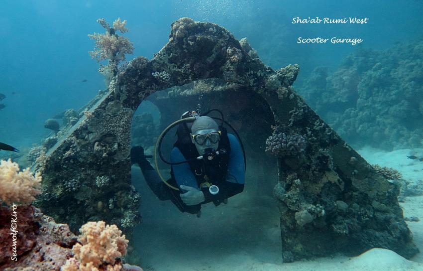 Shaab Rumi Precontinent II, Seawolf Diving Safari Dominator Sudan Haie Südplateau Jack Cousteau Hammerhai Riffkarte Skizze Port Sudan, M/Y Seawolf Dominator (Sudan), Sudan