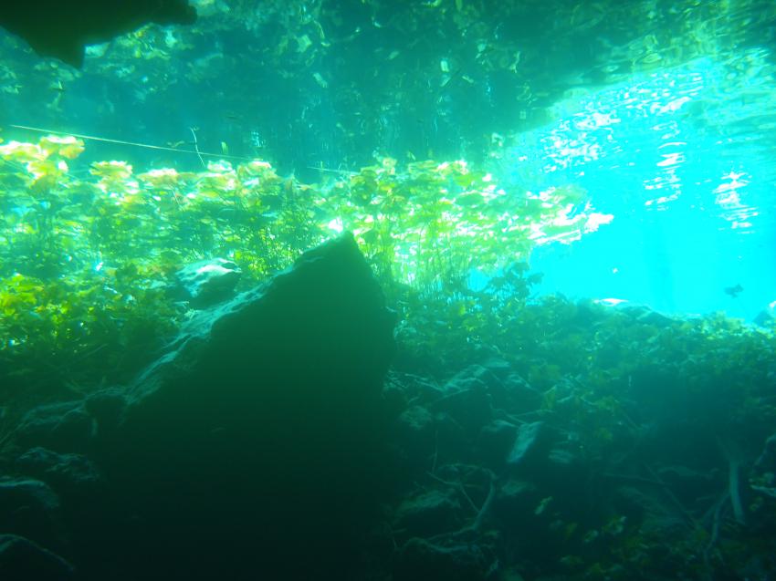 Cenote, Höhlentauchen, Planet Scuba Mexico, Mexiko