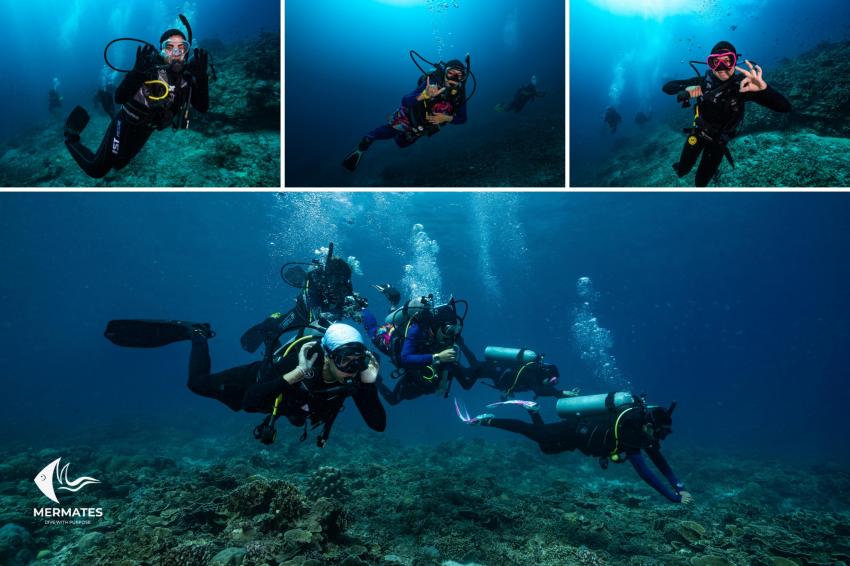 MALAYSIA DIVING TRIP, mermates.club, Arabdivers, Jeddah, Saudi-Arabien