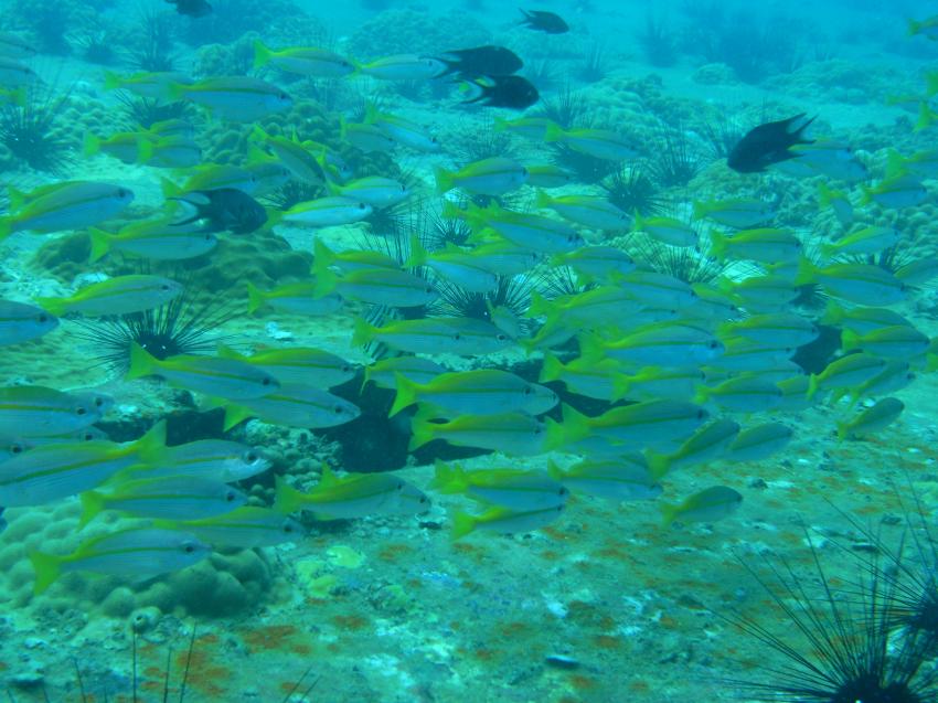 Malaysia, Pulau Perhentian,Malaysia