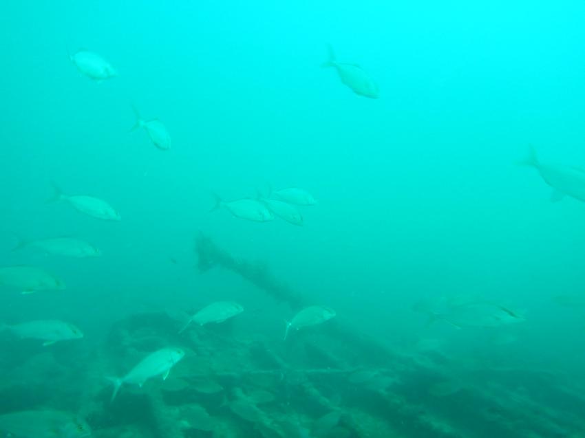 Club La Sirene de Plongee, Djerba, Tunesien