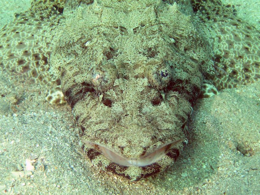 Brayka Bay, Brayka Bay,Ägypten