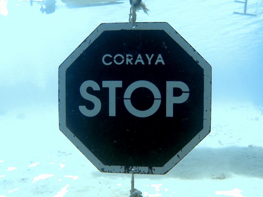Coraya Divers Alaya, Ägypten, El Quseir bis Port Ghalib