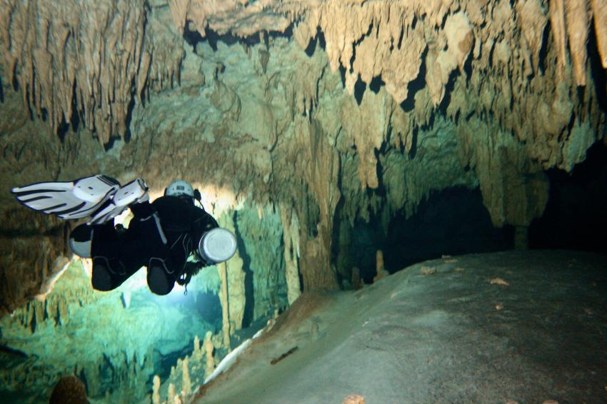 Höhlentauchen, Stalaktiten, Cenoten, Halocline Divers, Mexiko