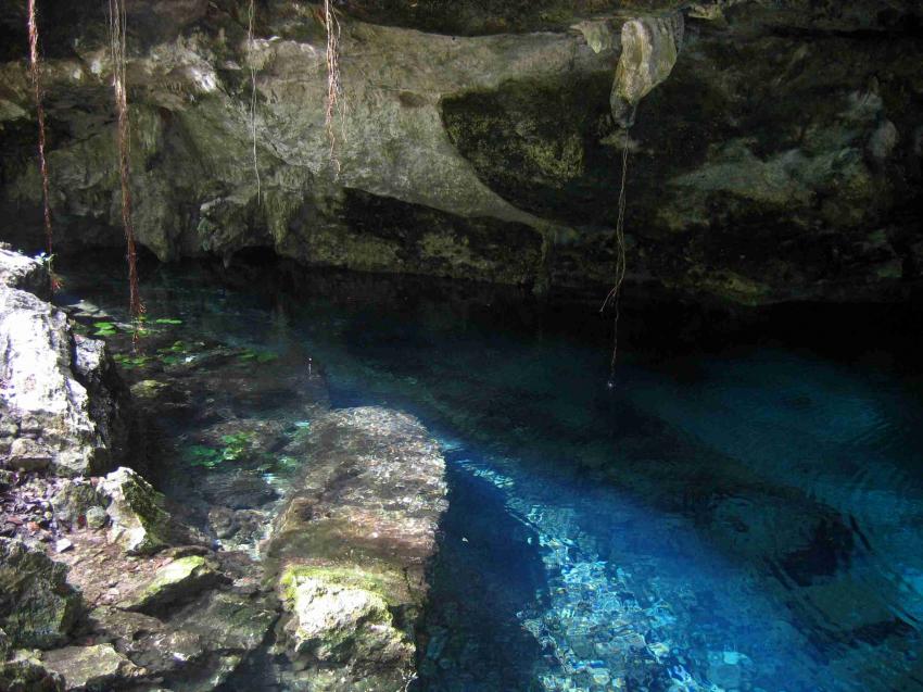 Cenotes, Cenoten gemischt (Cenoten Playa del Carmen,Tulum und Meer),Mexiko,Cenoten,Höhlentauchen