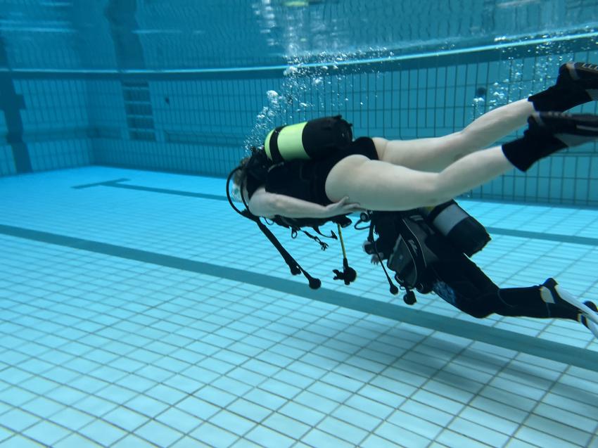 Schuppertauchen, Schuppertauchen, DiveBeach Tauchschule, Deutschland, Niedersachsen