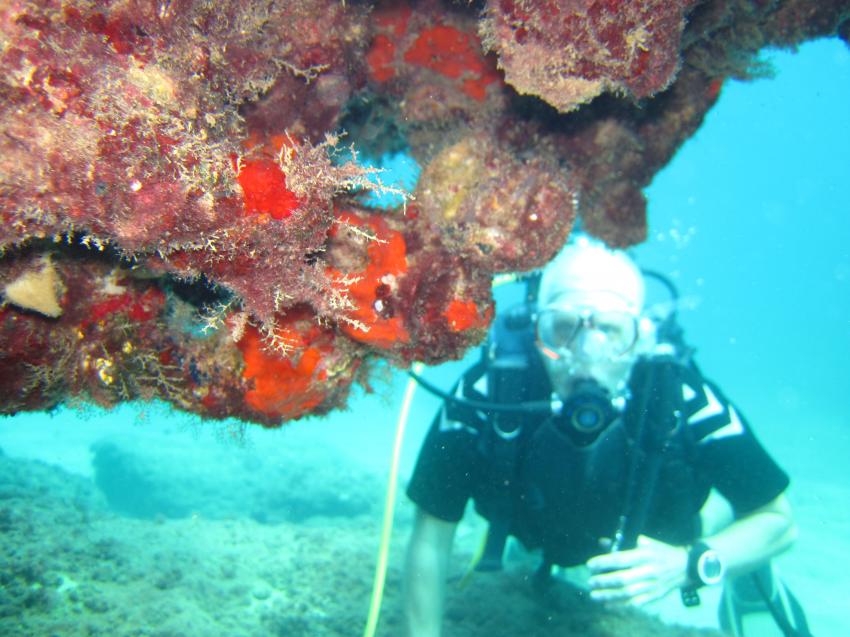deep sea diving karaburun alanya turkei, deep sea diving karaburun alanya turkei,Türkei