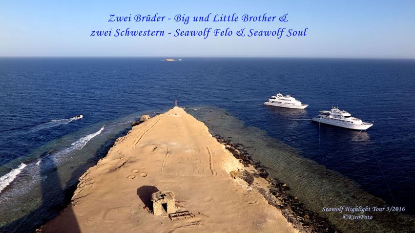 Big Brother Leuchtturm, Seawolf Diving Safari Felo Highlight Tour, M/Y Seawolf Felo, Ägypten