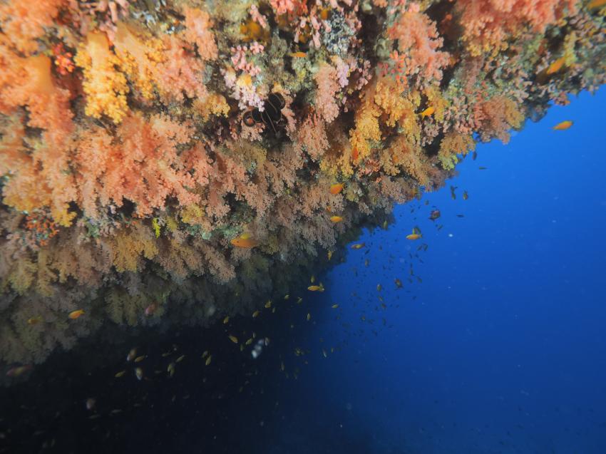 Euro-Divers Meeru, Malediven