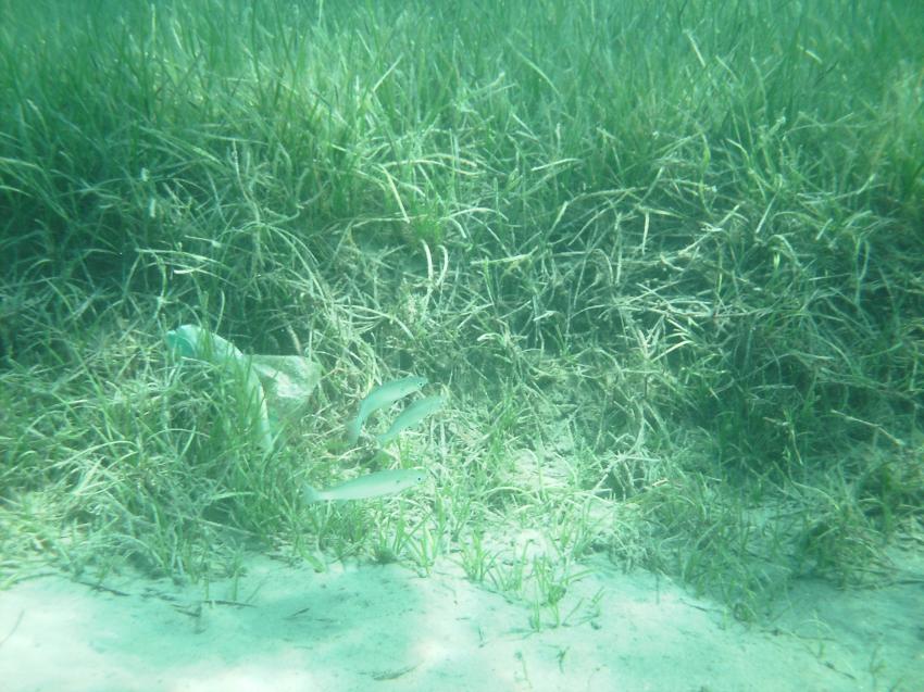 Halkidiki - Athos, Halkidiki - Athos,Griechenland