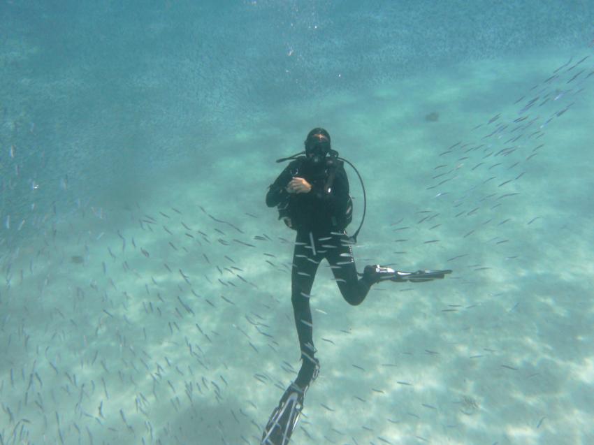 Aphrodite Diving Center, Hurghada