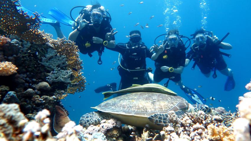 Undersea Adventures, Ägypten, Hurghada