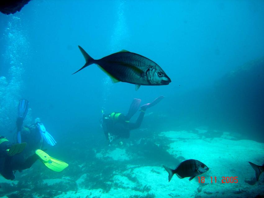 Fuerteventura, Corralejo, Fuerteventura,Corralejo,Spanien