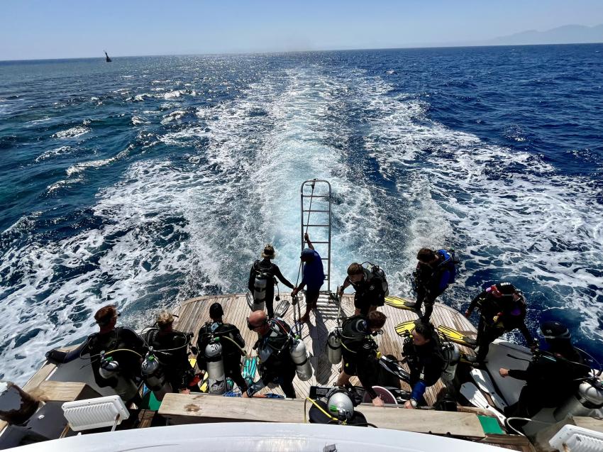 ORCA Dive Club Safaga Amarina Resort, Ägypten, Safaga