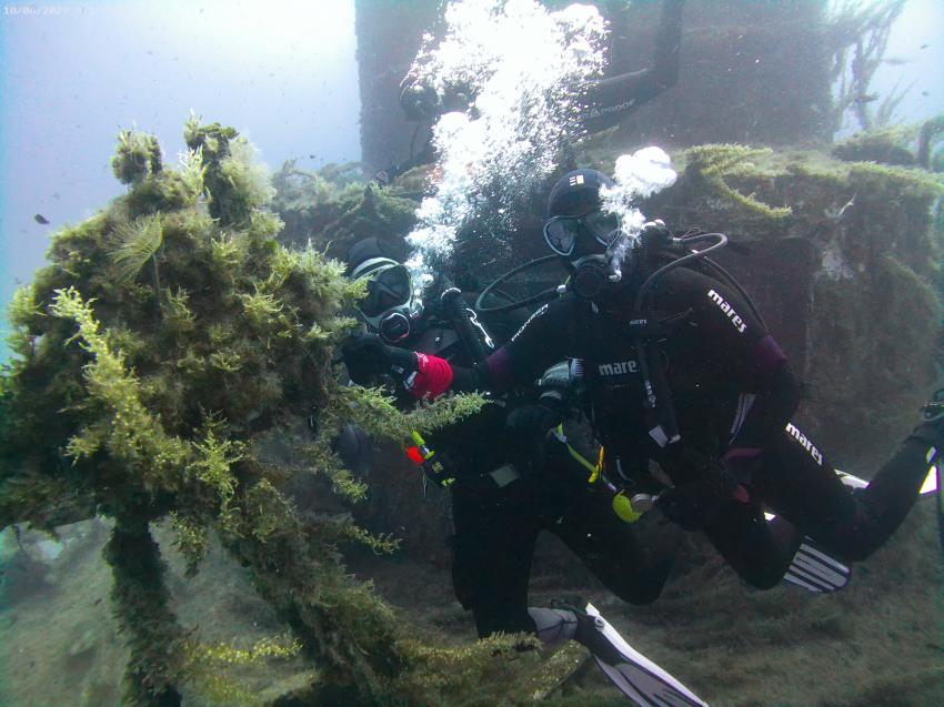 P29 Cirkewwa, Bezz Diving, Mellieha, Malta, Malta - Hauptinsel