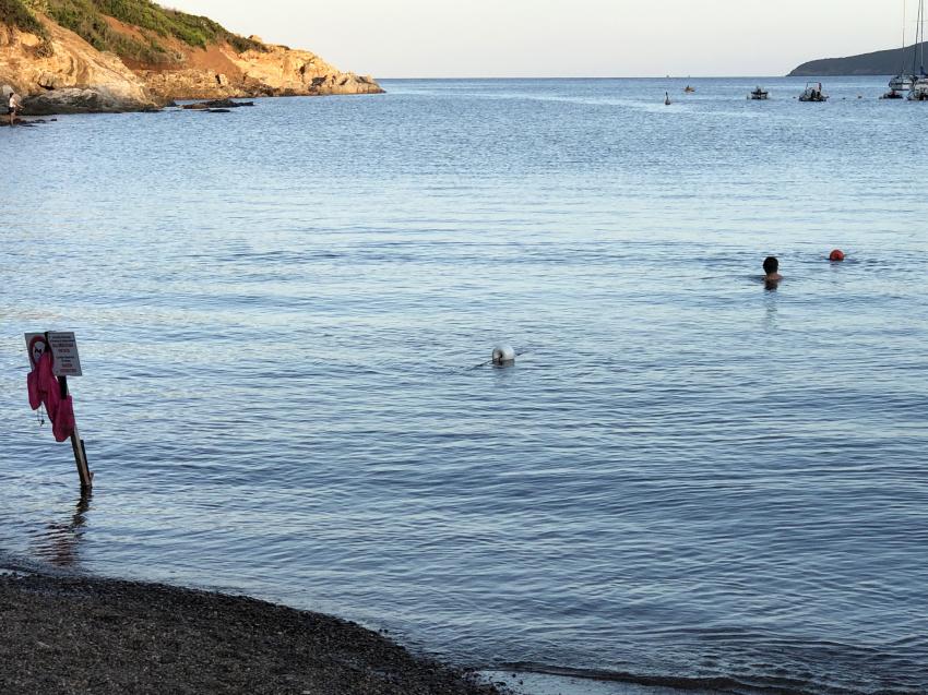 Barbarossa Bucht, Omnisub, Porto Azzurro (Elba), Italien, Elba