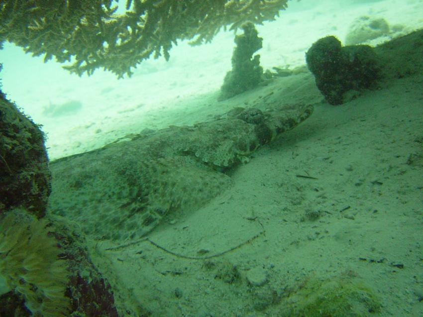 Safaga, Safaga - allgemein,Ägypten