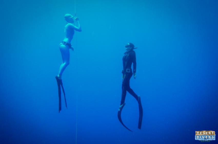Freediving Dahab, freediving, dahab, apnea, Desert Divers, Dahab, Ägypten, Sinai-Nord ab Dahab