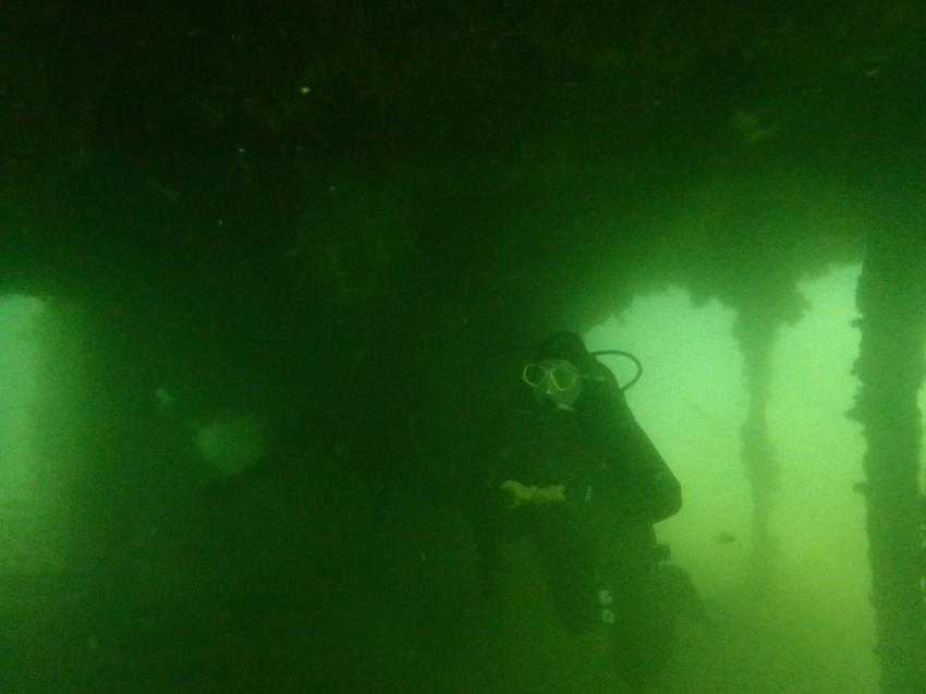 Wracktauchen, Cape Town Dive Centre, Glencairn, Südafrika