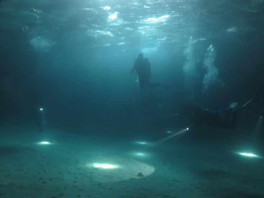 Night Dive, Blue Ocean Diving Center, Abu Dabbab, Ägypten, Marsa Alam und südlich