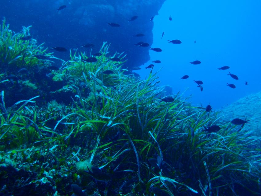 Costa Paradiso Diving Center (Sardinien), Italien, Sardinien