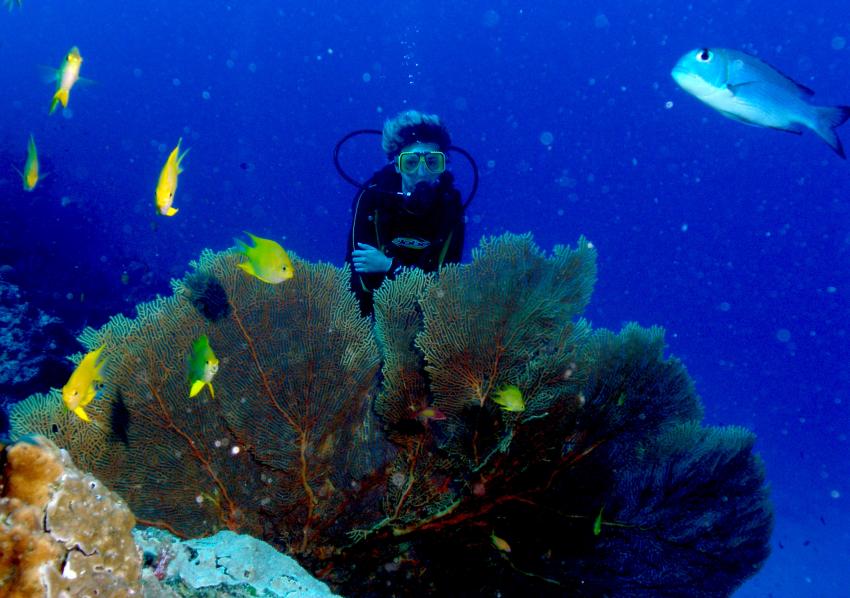 Richelieu Rock, Richelieu Rock,Thailand