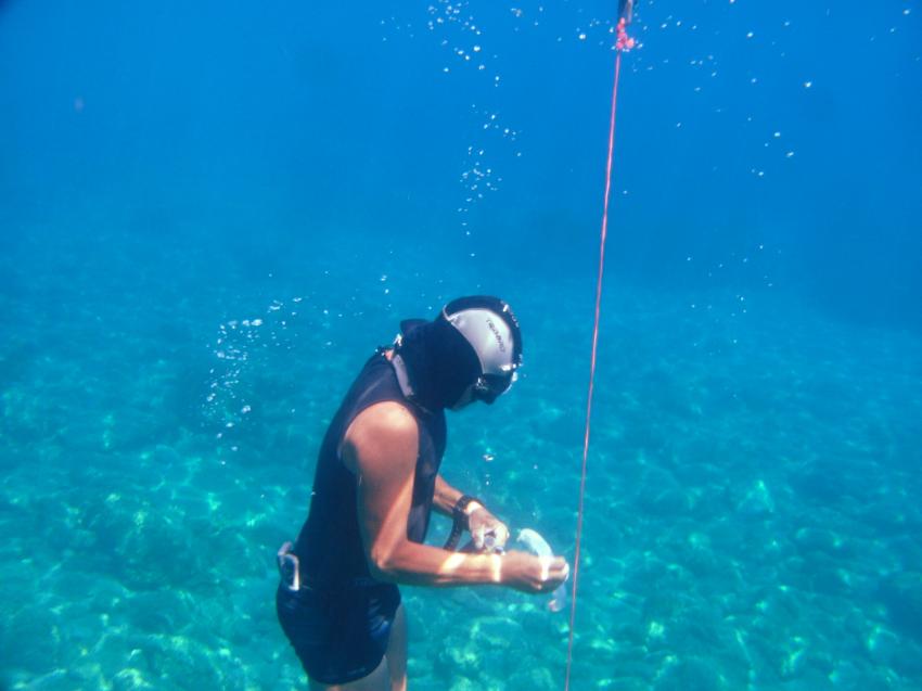 We Shall Sea Scuba Dive, Amorgos, Griechenland