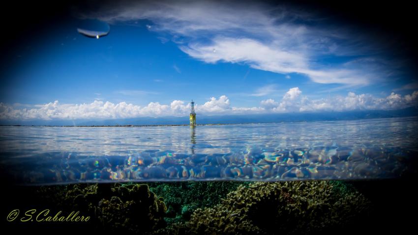 PARIGI, Prince John Dive Resort, Tanjung Karang, Sulawesi, Indonesien, Sulawesi