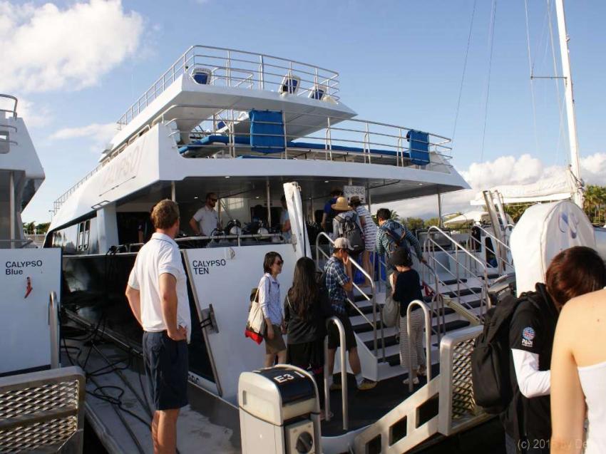 Calypso Reef Cruises, Port Douglas, Calypso Reef Cruises, Port Douglas, Calypso Reef Cruises, Port Douglas, Australien