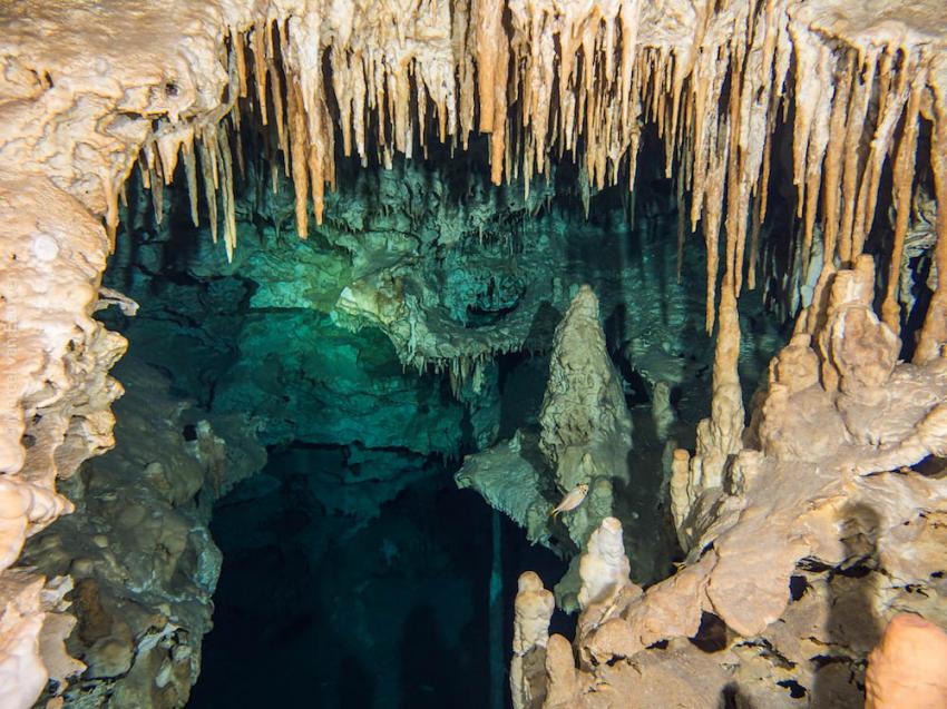 Höhlentauchen in Yucatan