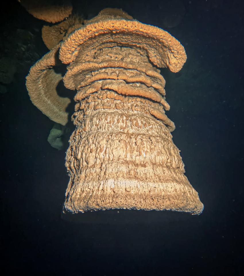 Cenote Adventures, Mexiko