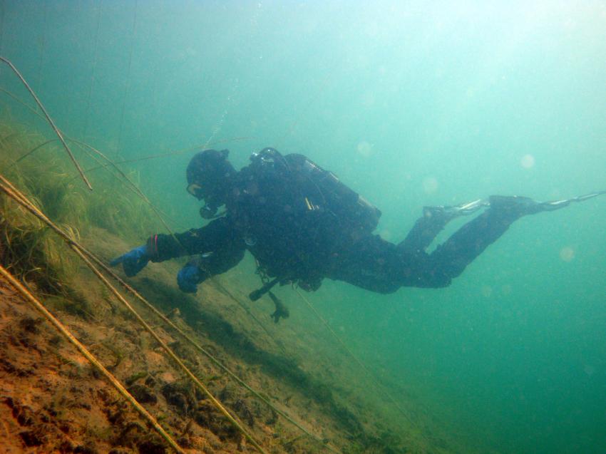 Clean Up Day, Helenesee,Brandenburg,Deutschland