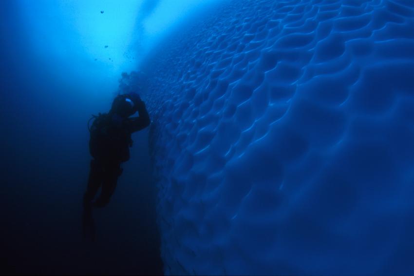 Oceanwide Expeditions Diving