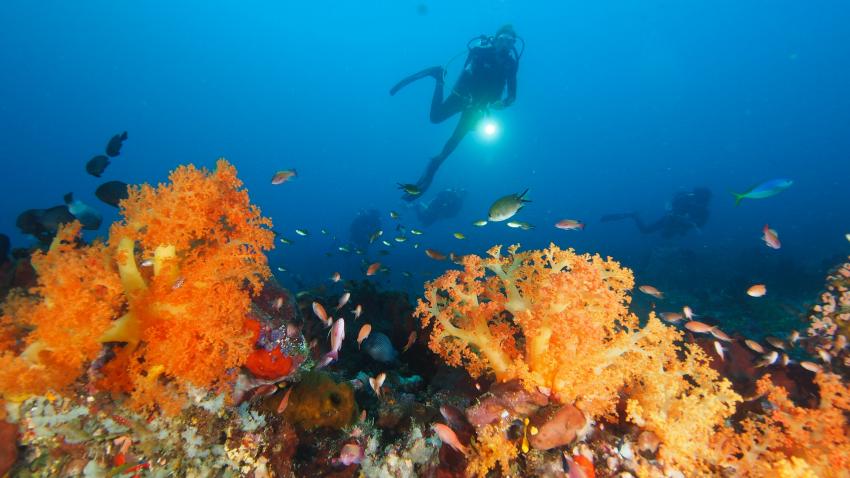 Extra Divers Spice Island , Indonesien