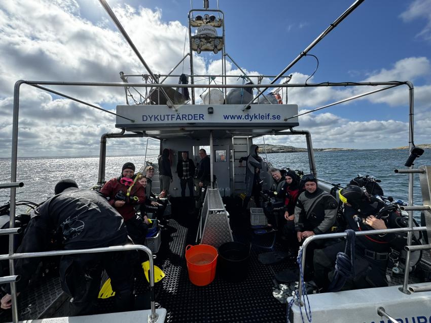 Dyk-Leif Dive Resort, Hamburgsund, Schweden