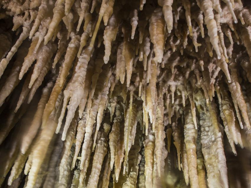 Tropfsteine, sogenannte Stalaktiten , Cenote Dreamsgate, caverndiving, stalaktites, Deep Dive Mexico, Mexiko