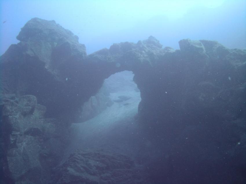 Punkfish Diving La Palma, Spanien, Kanaren (Kanarische Inseln)