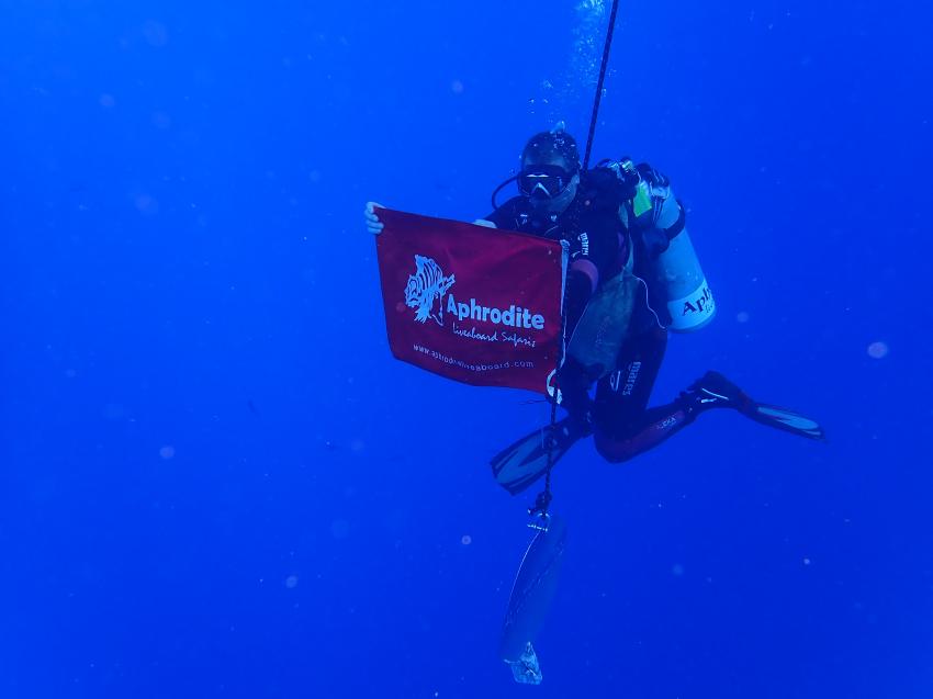 Unterwasser Orientierung, M/Y Aphrodite, Ägypten, Hurghada