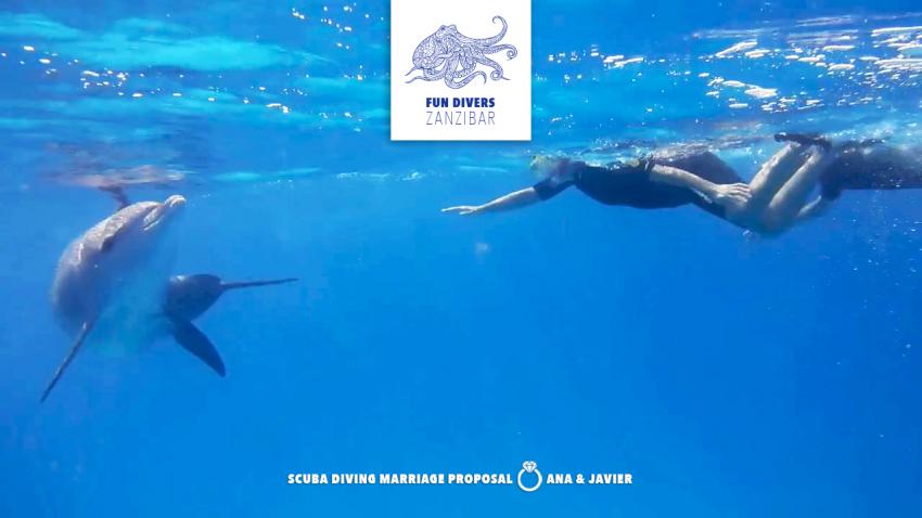 Close up with the dolphin at Mnemba Atoll, Nungwi – A scuba diving marriage proposal in Zanzibar, #lifelongmemories #marriageproposal #underwaterengagement #mnembaatoll #nungwi #zanzibar #zanzibarisland #tanzania #eastafrica #indianocean #oceanlove #fundiverszanzibar #local #padi #diveresort #scubadiving #scuba #diving #snorkeling #padicourses, Fun Di
