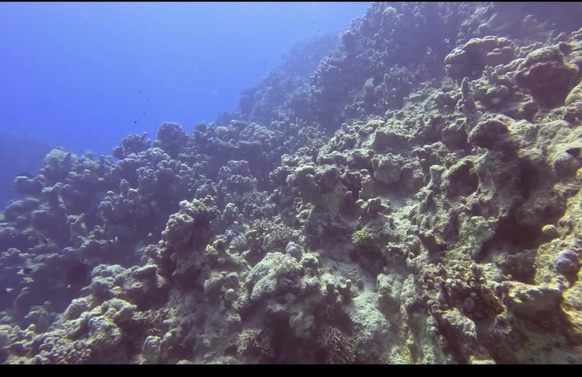 Marsa Shagra Ecolodge, Marsa Alam, Ägypten, Marsa Alam und südlich