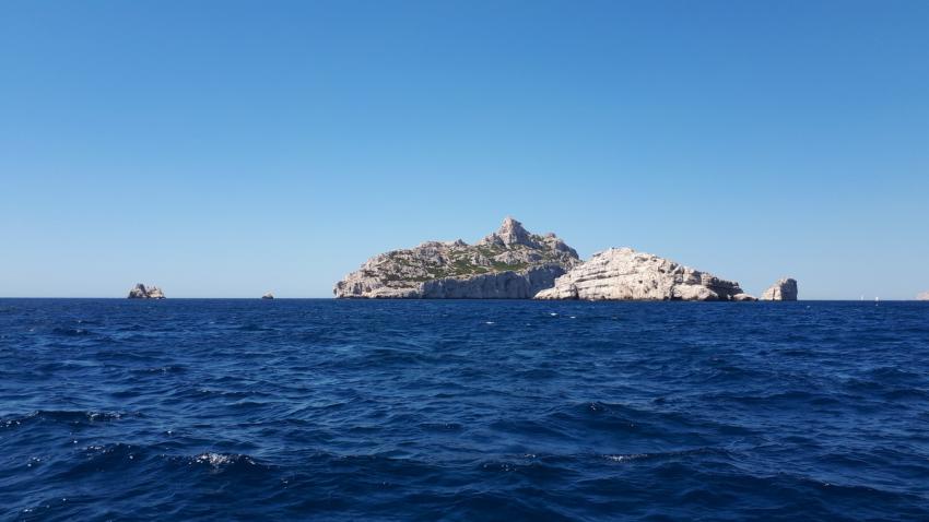 Tauchplatz Riou, Archipel Plongée, Marseille, Frankreich