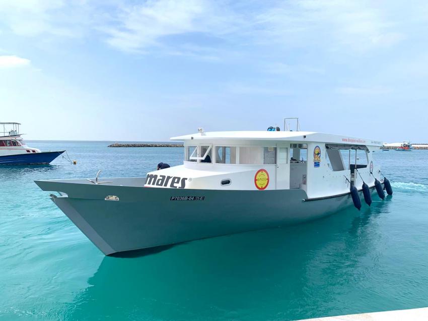 DIVING DHONI, #divepointfuvahmulah #divewithfriends #tigersharks #fuvahmuklah #divelocal #malediven, DivePoint Fuvahmulah, Malediven