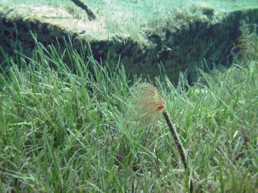 Halkidiki - Athos, Halkidiki - Athos,Griechenland