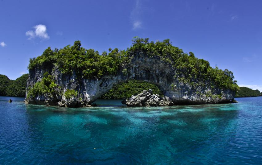 Palau Dive Adventures, Palau