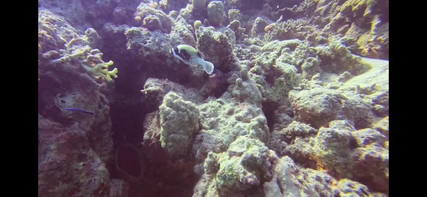 Marsa Shagra Ecolodge, Marsa Alam, Ägypten, Marsa Alam und südlich