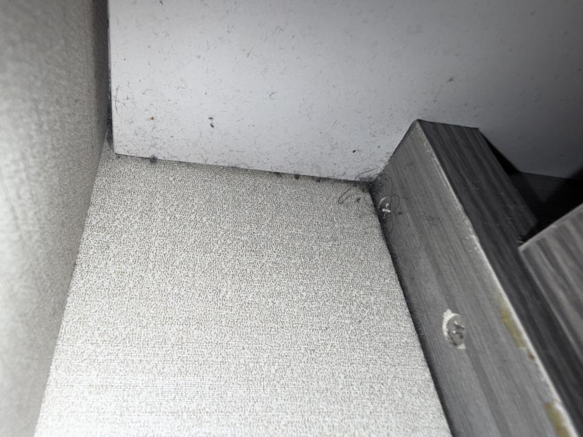 Dreck und Schimmel in der Kabine, M/V Emperor Virgo, Malediven