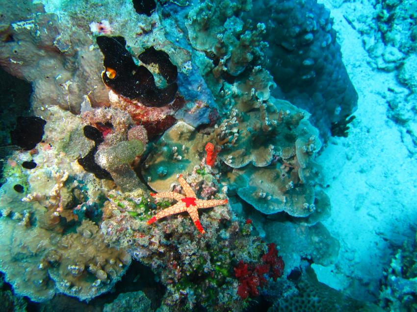 Euro-Divers Kagi Maldives, Malediven